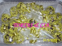 /album/fotogaleria-pops-/img-0496-jpg/